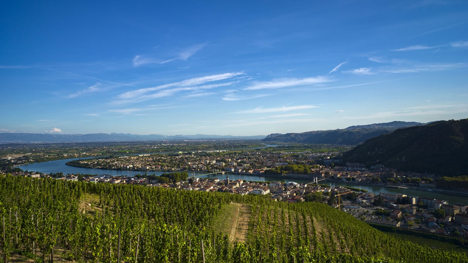 Vignobles des Côtes du Rhône, autour de Tournon et Tain l'Hermitage