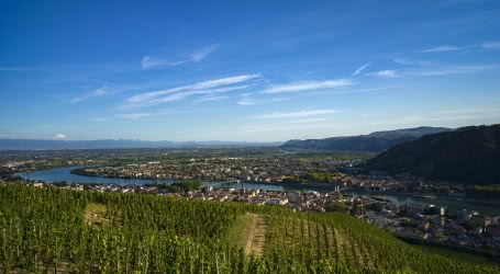 Vignobles des Côtes du Rhône, autour de Tournon et Tain l'Hermitage