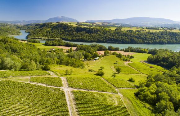 Vignoble de Seyssel