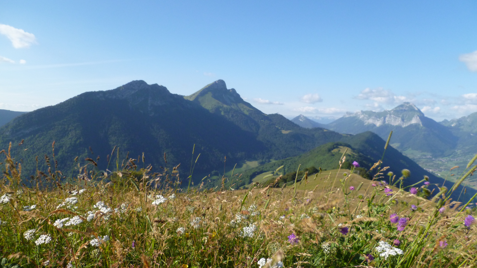 Hiking trail: 'Morbié to Mont Pelat'