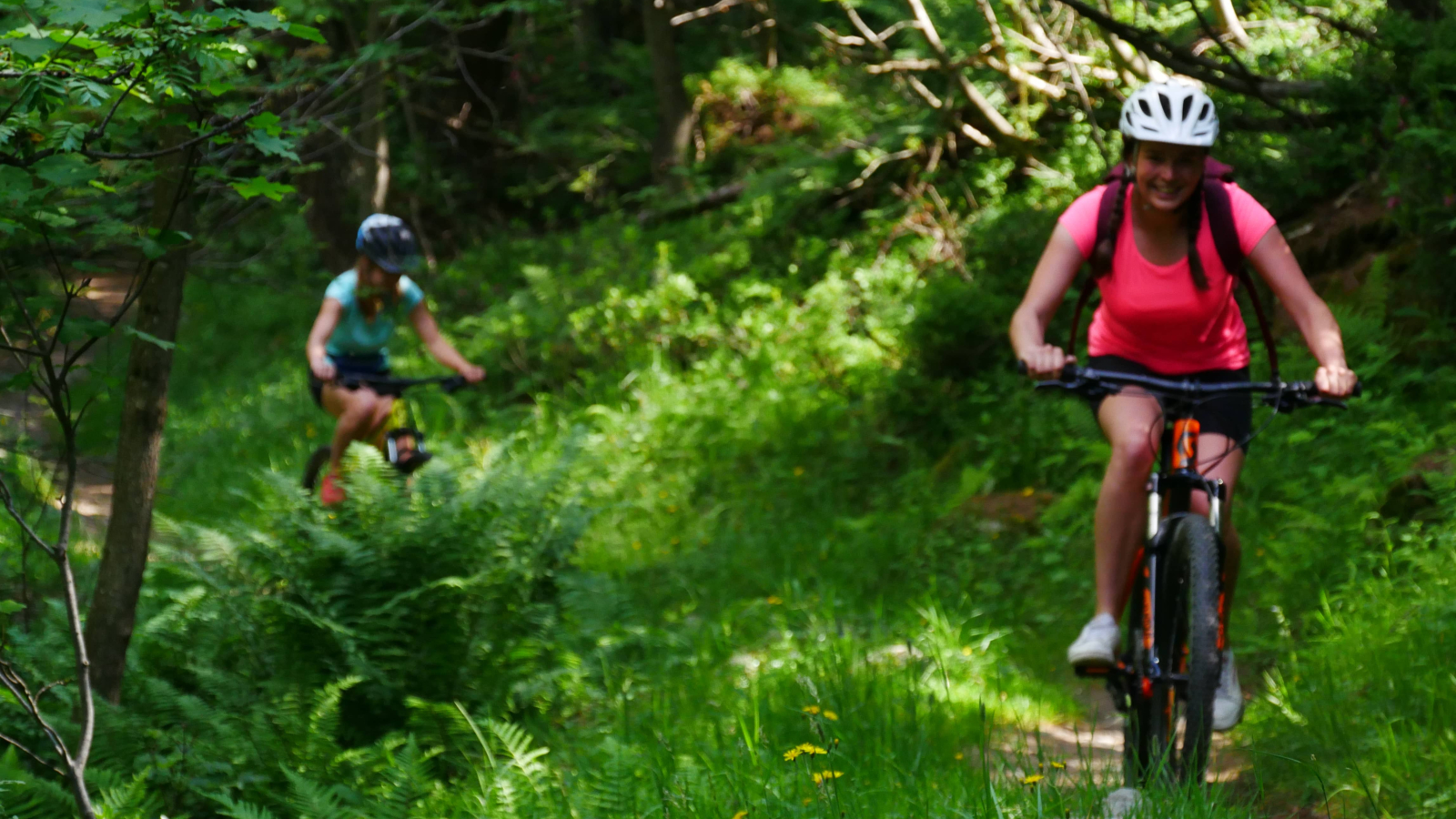 Evolution2-Chamonix-Discover Mountain Biking