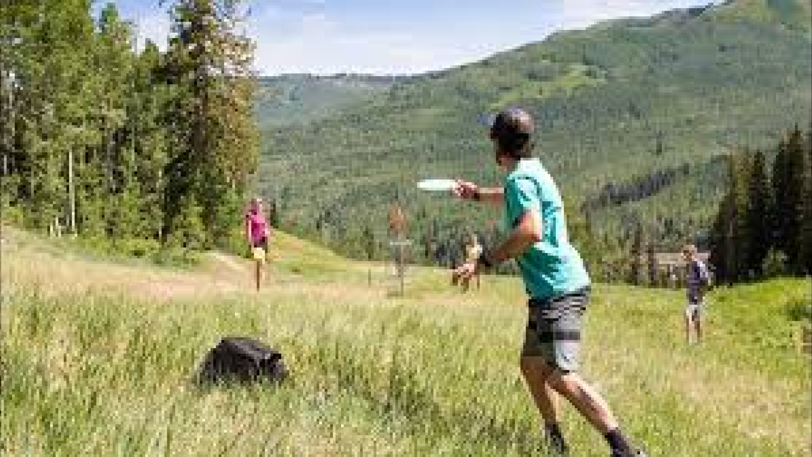Frisbee golf picture