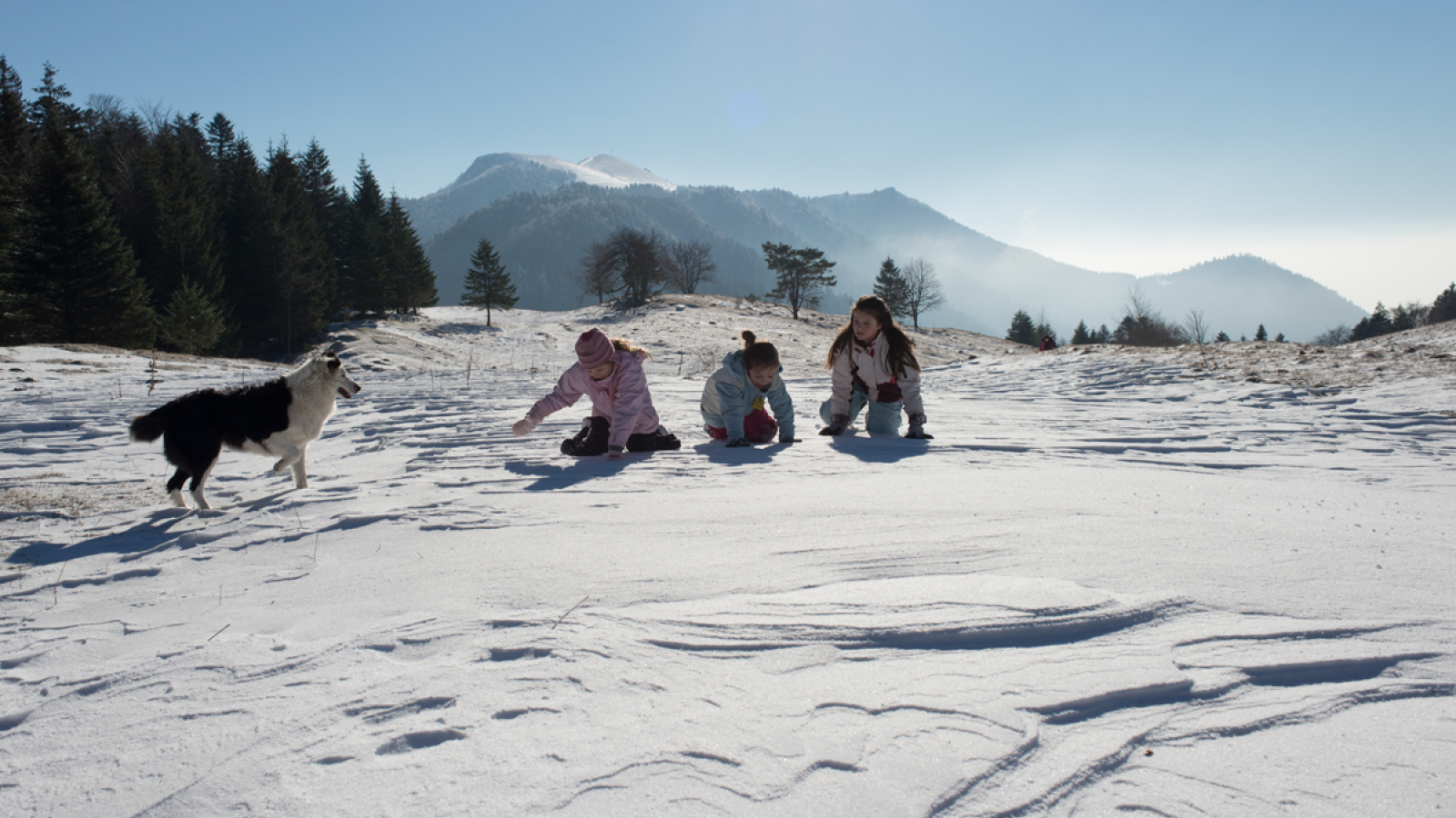 Enfants jouant sur la neige avec un chien