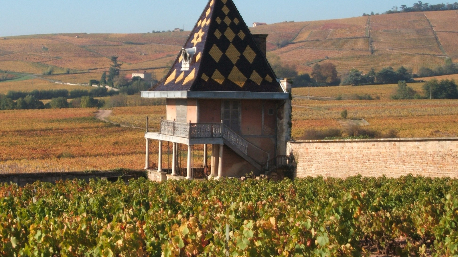 Vue sur le vignoble Château Portier