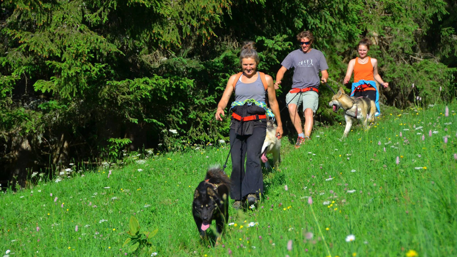 Evolution2-Chamonix-Dog Hiking