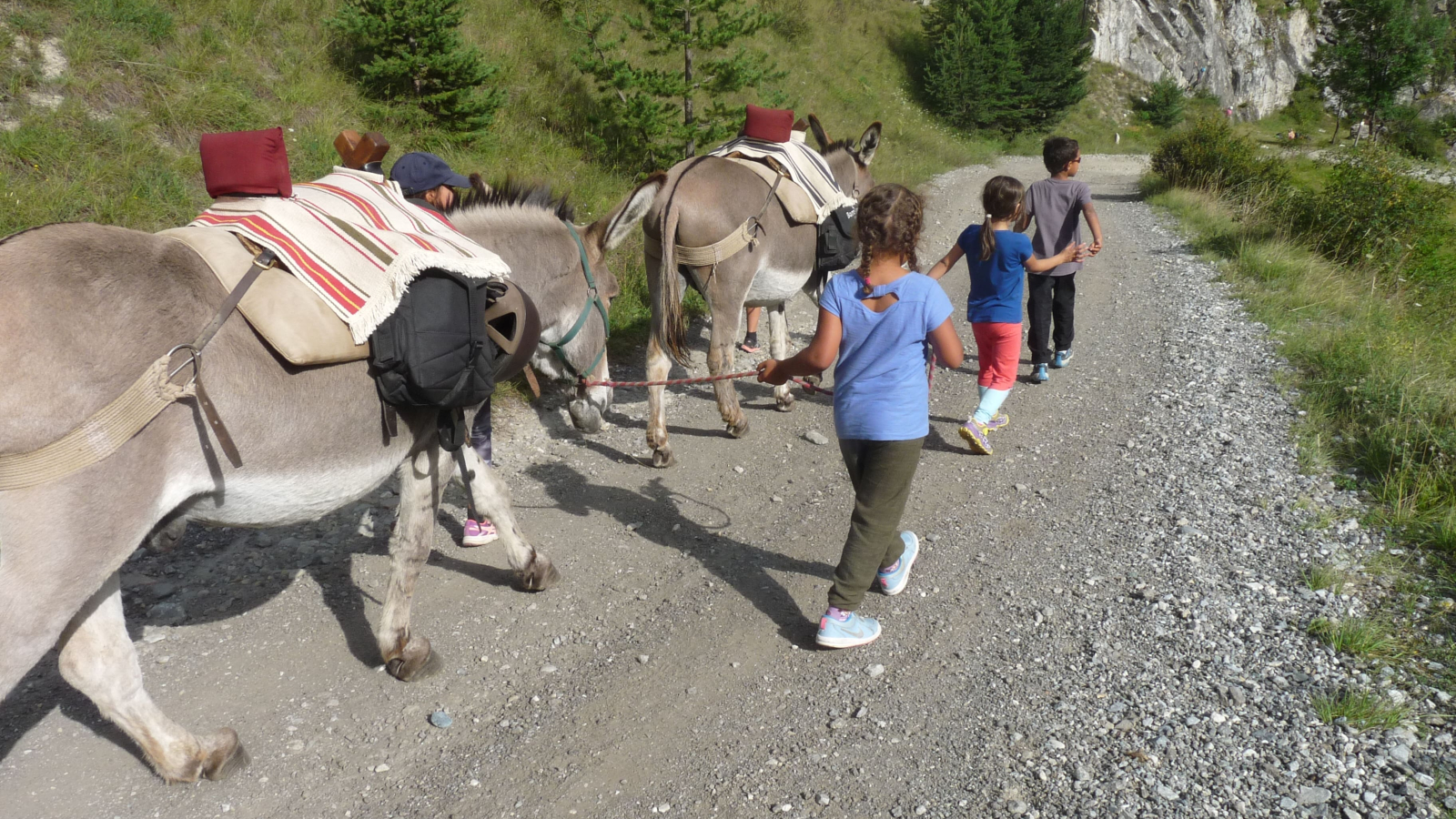 Donkeys and Hiking in Aussois