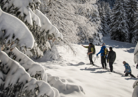Snowshoeing guided
