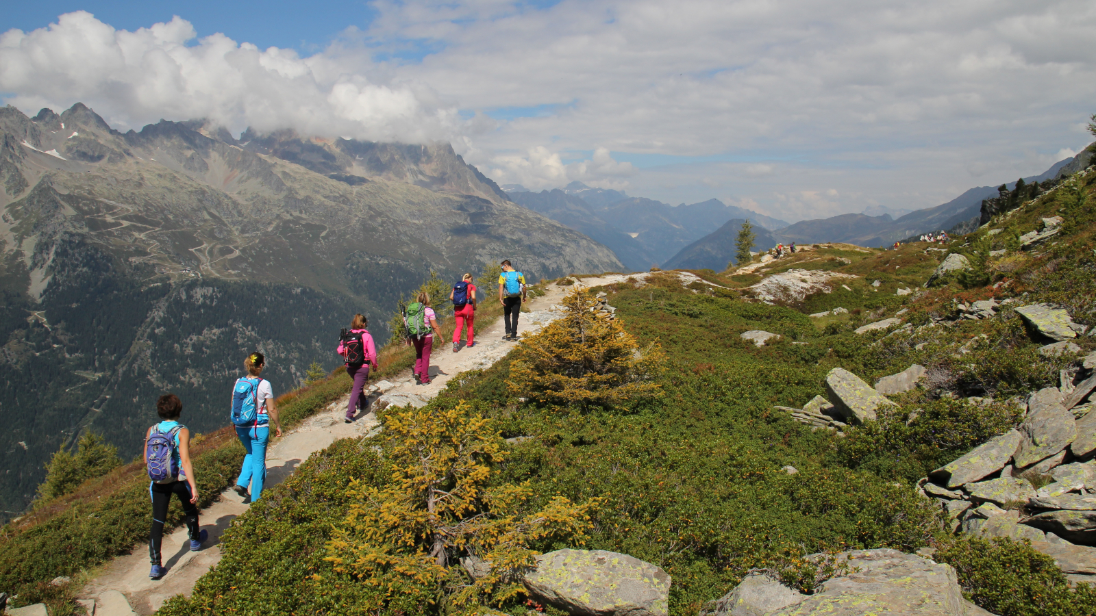 Cie des Guides de Chamonix - Randonnée vallée de Chamonix