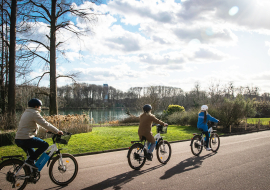 Activité de plein air à Lyon : visiter le parc de la Tête d'Or à vélo