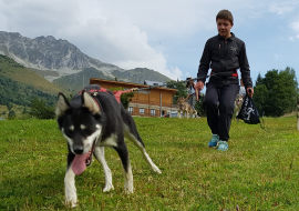 Cani-rando à Val Cenis-Lanslebourg