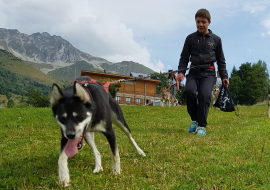 Cani rando in Haute Maurienne Vanoise