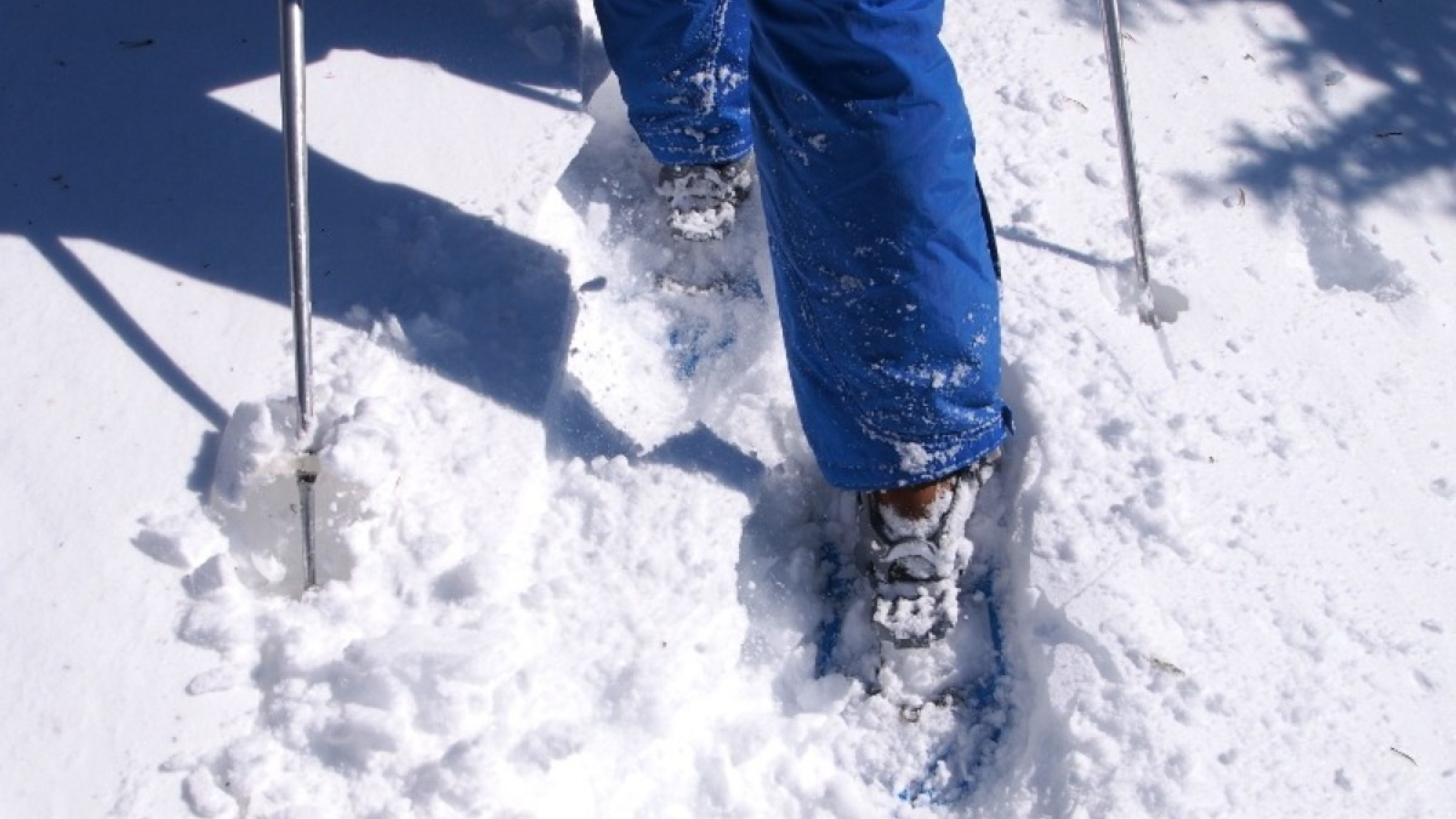 Snowshoeing shoes