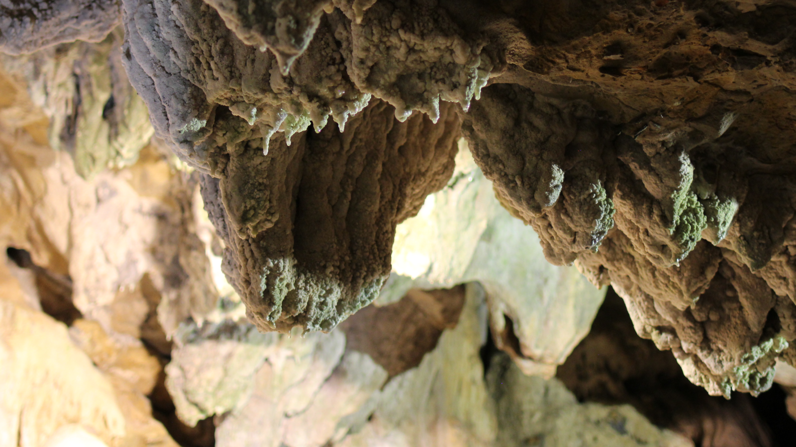 Concrétions à découvrir aux Grottes de la Balme - A moins d'une heure de Lyon