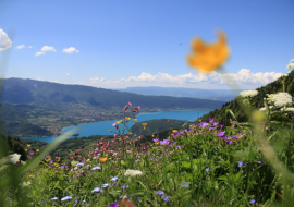 vue lac Annecy
