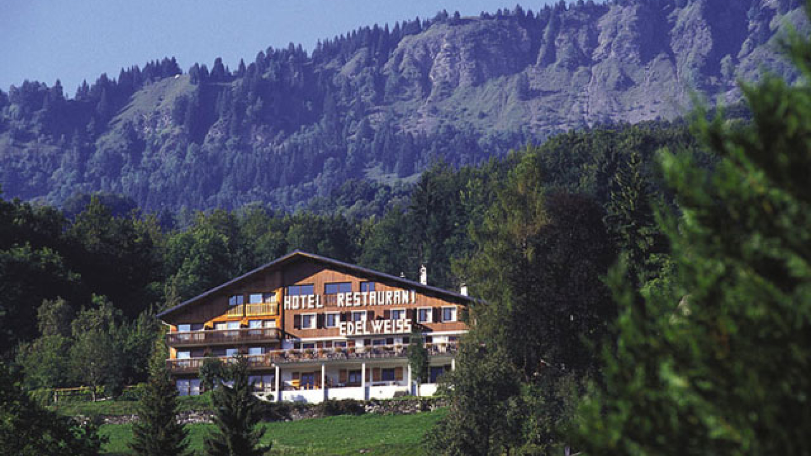 View of the hotel in summer
