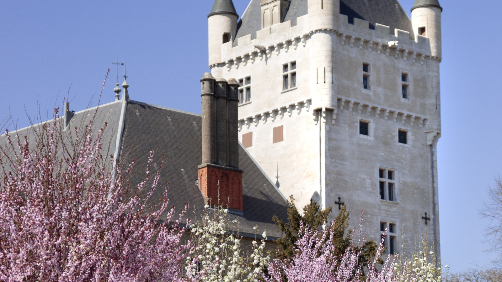 Jardin du château de Chazey-sur-Ain