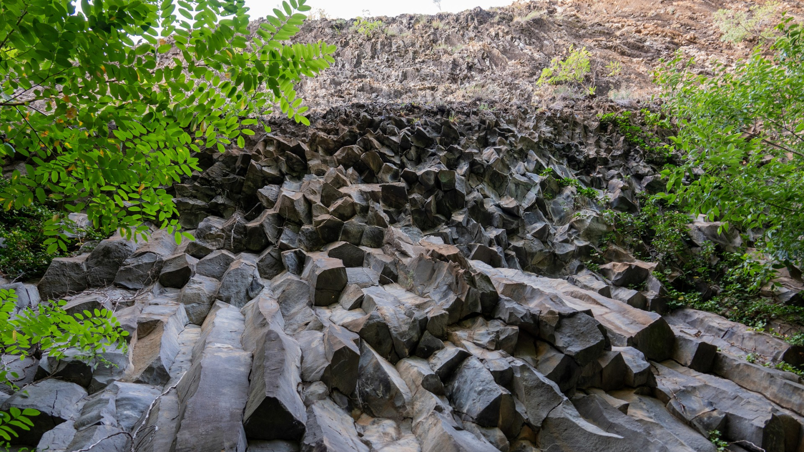 Thueyts - Visite géologique à Thueyts - orgues basaltiques de la chaussée des géants ©sourcesetvolcans