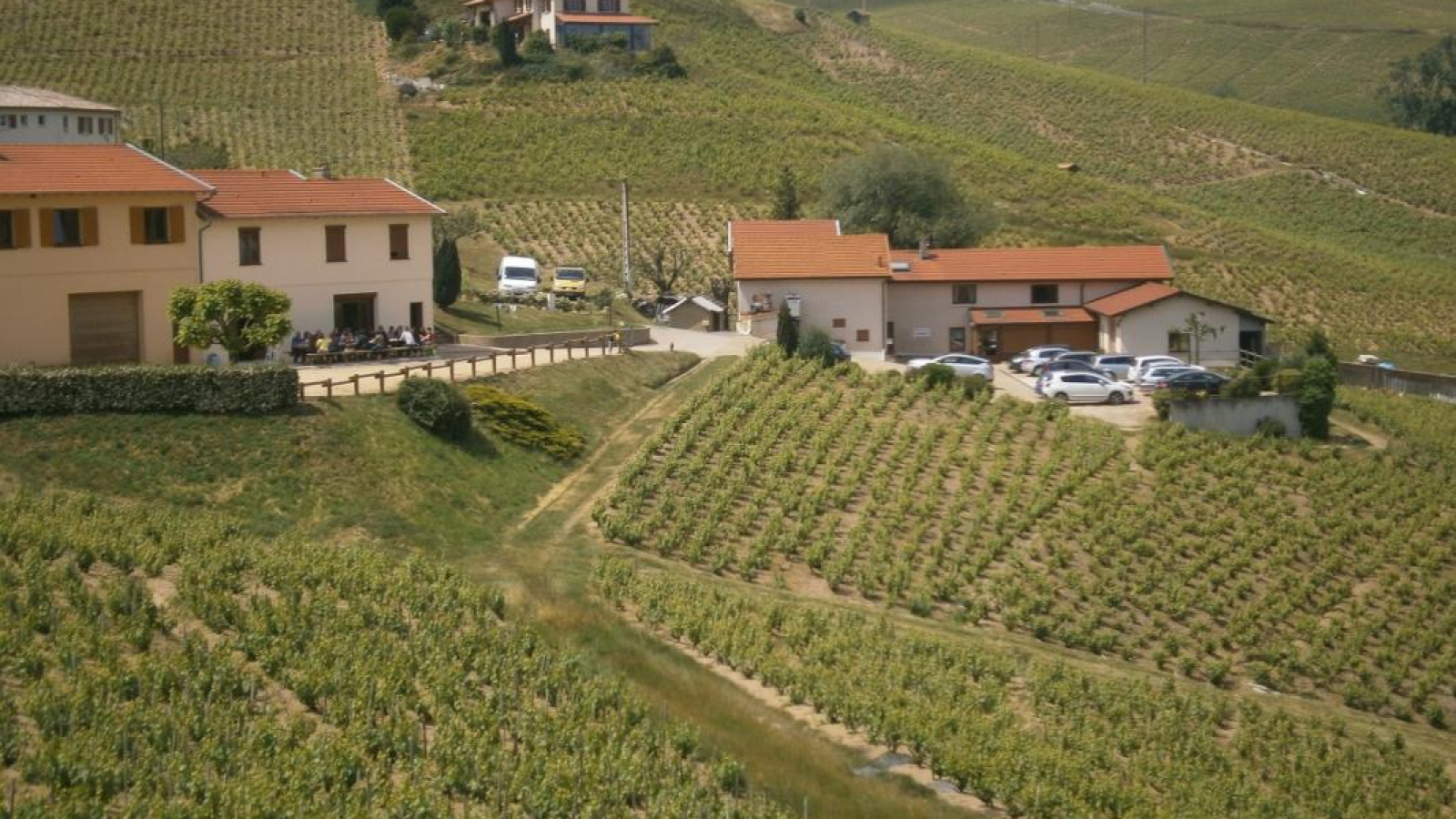 Gîte du Puits à Fleurie (Rhône - Beaujolais des crus - vignoble) :  le Domaine viticole.