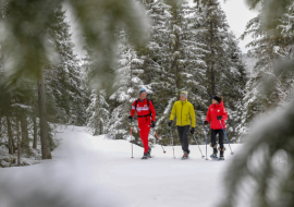 Groupe de raquettistes évoluant dans un décor hivernal en pleine forêt, encadré par un moniteur de l'ESF