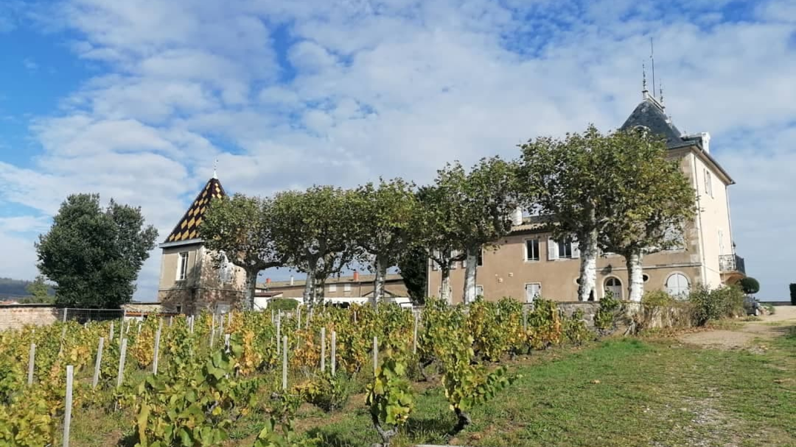Château Portier à Romanèche-Thorins