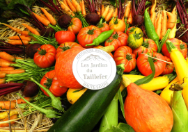 summer vegetables from les Jardins du Taillefer
