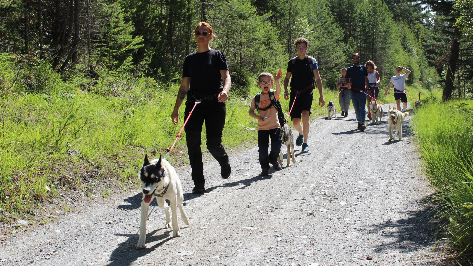Cani-hike with Trott husky