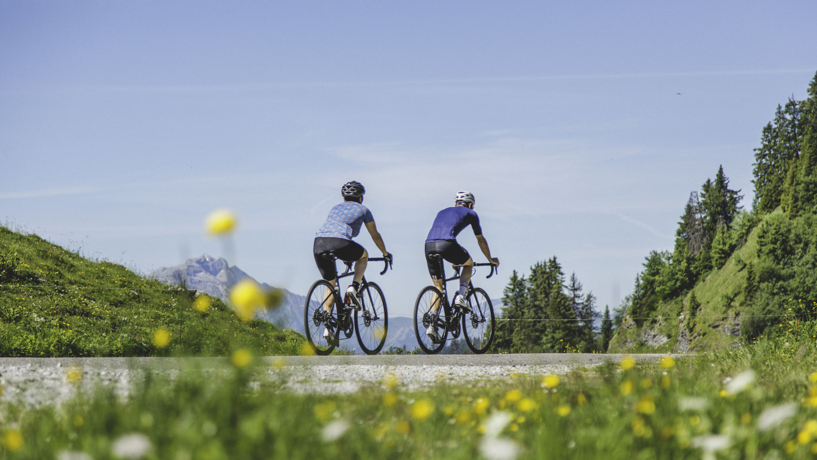 Deux cyclistes de route en pleine nature l'été