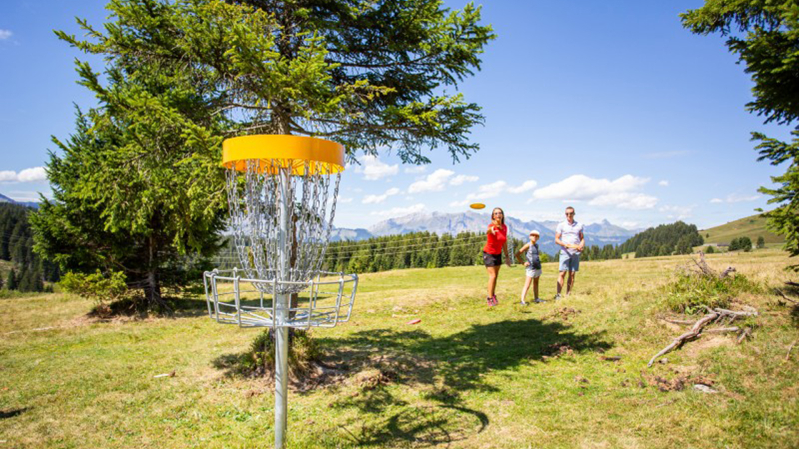 Frisbee golf image