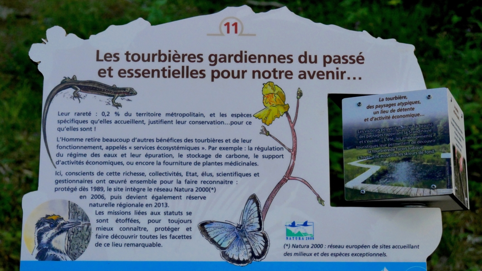 Panneau d'information sur l'écosystème des Tourbières