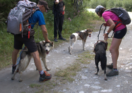 Cani-hike with Husky Adventure in Aussois