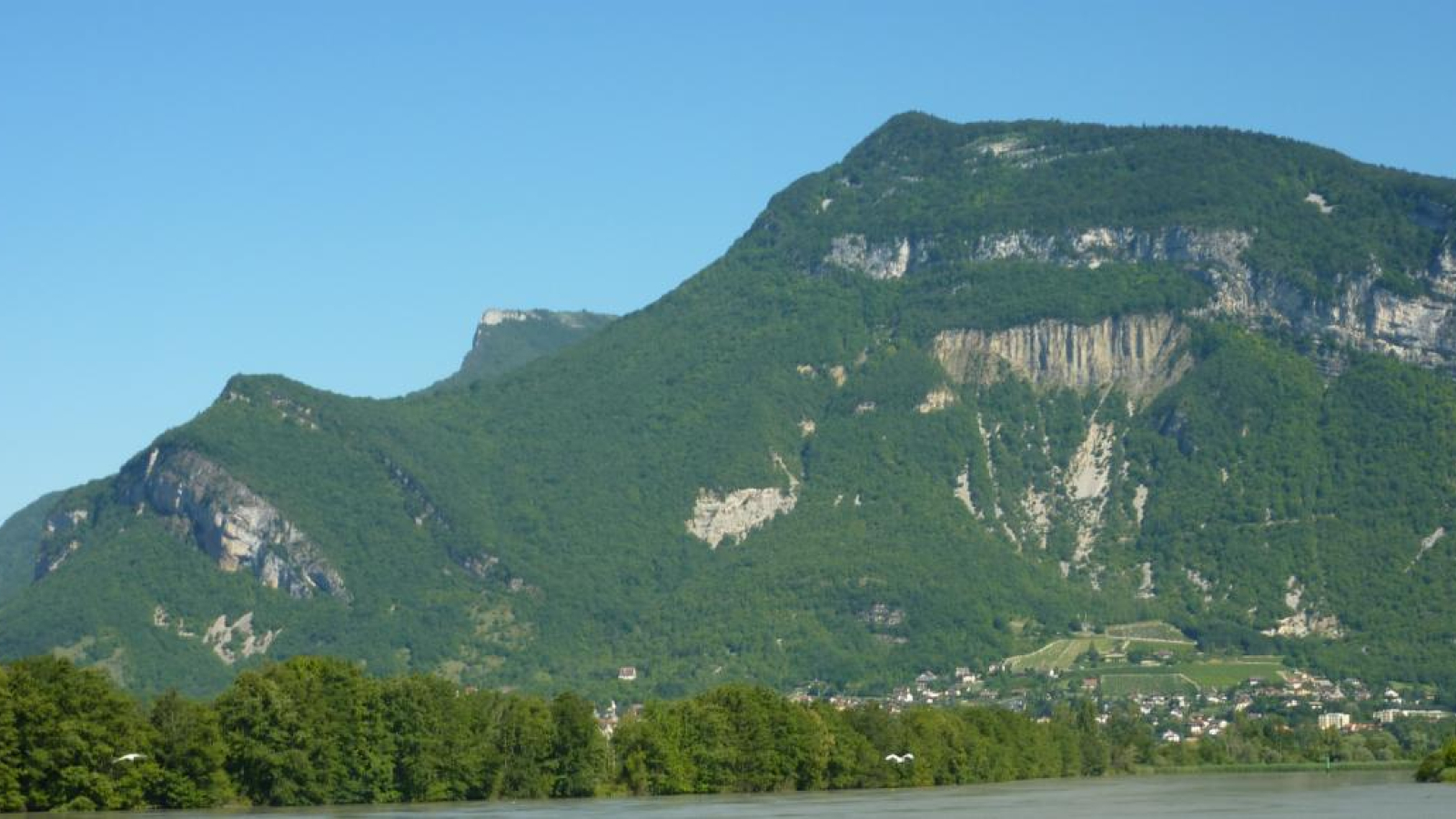Vue depuis les berges du Rhône