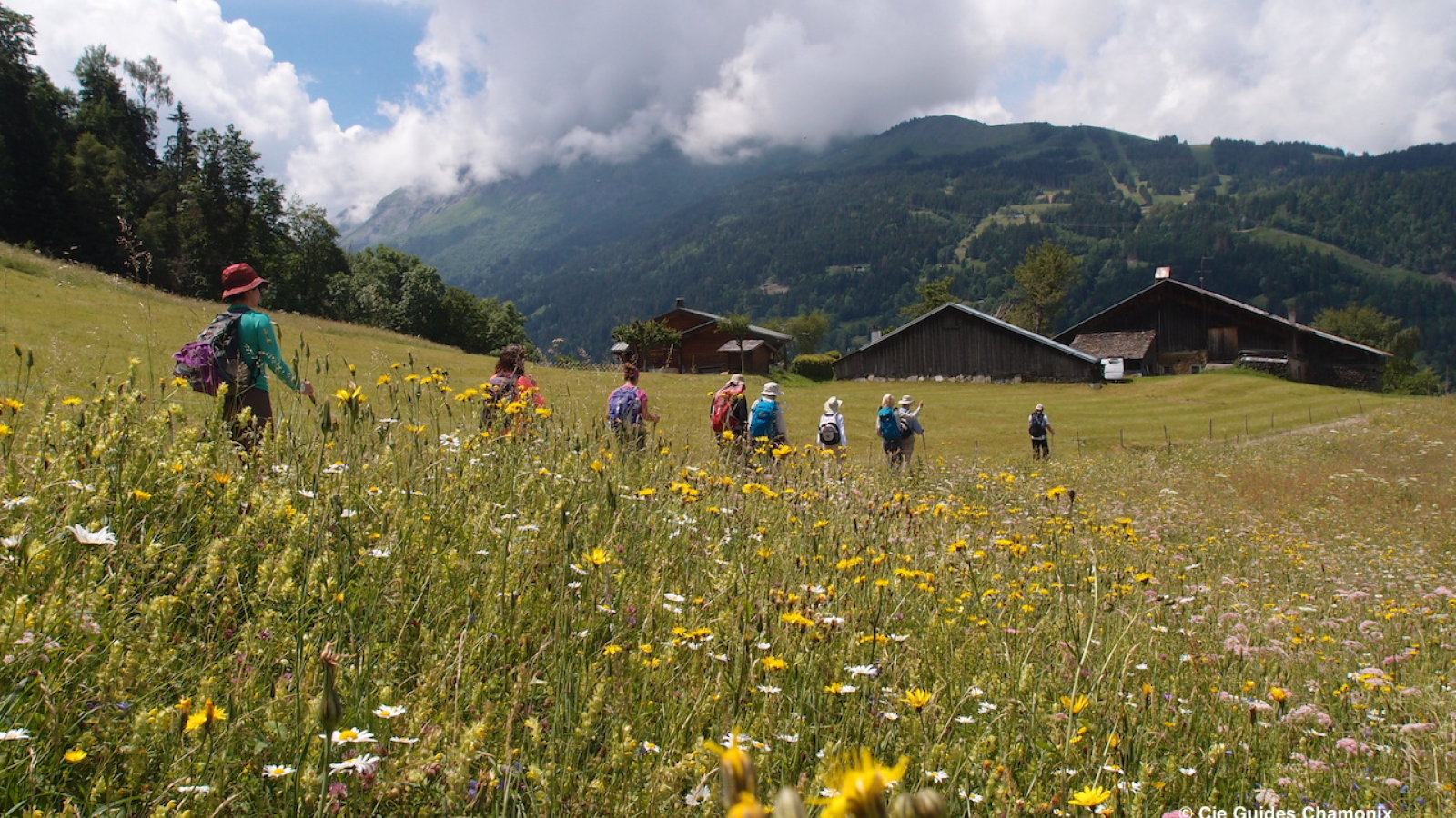Tour du Mont Blanc - Cie des Guides