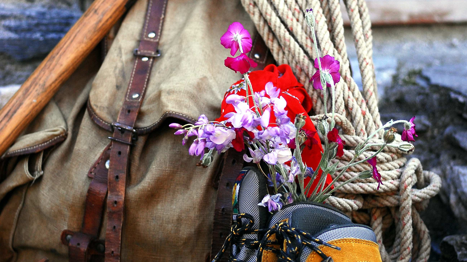 accessoires de randonnée, chaussure, sac à dos, corde, fleurs