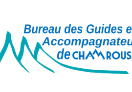 Mountain guides logo
