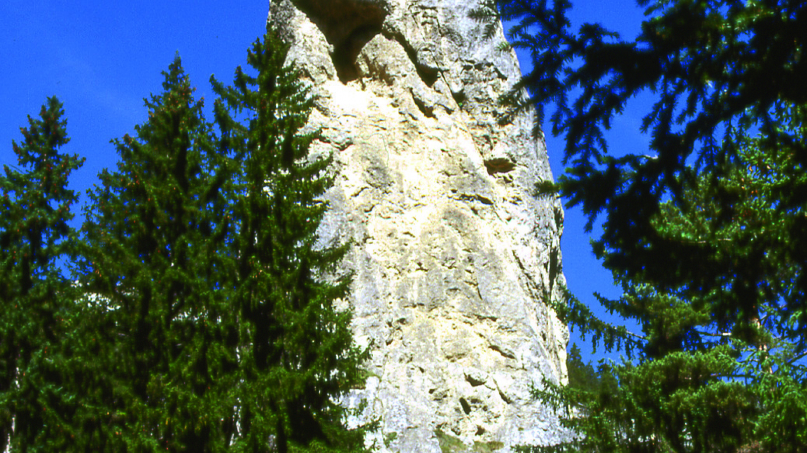 Aiguille de cargneule de 93m de hauteur - Escalade, balade en forêt