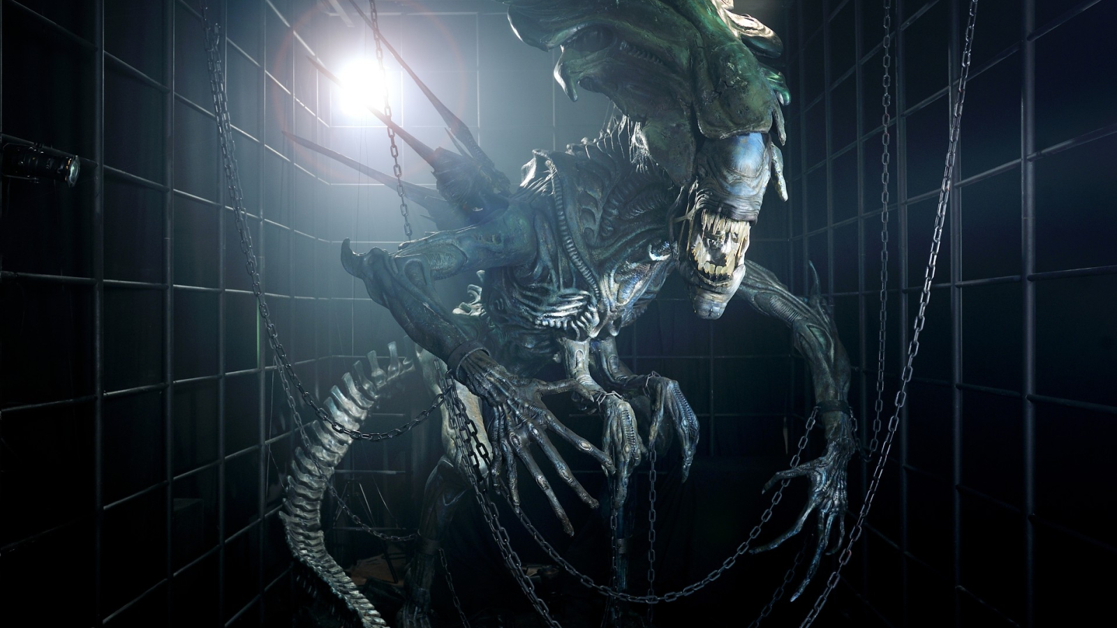 La reine alien originale du film Alien vs Predator