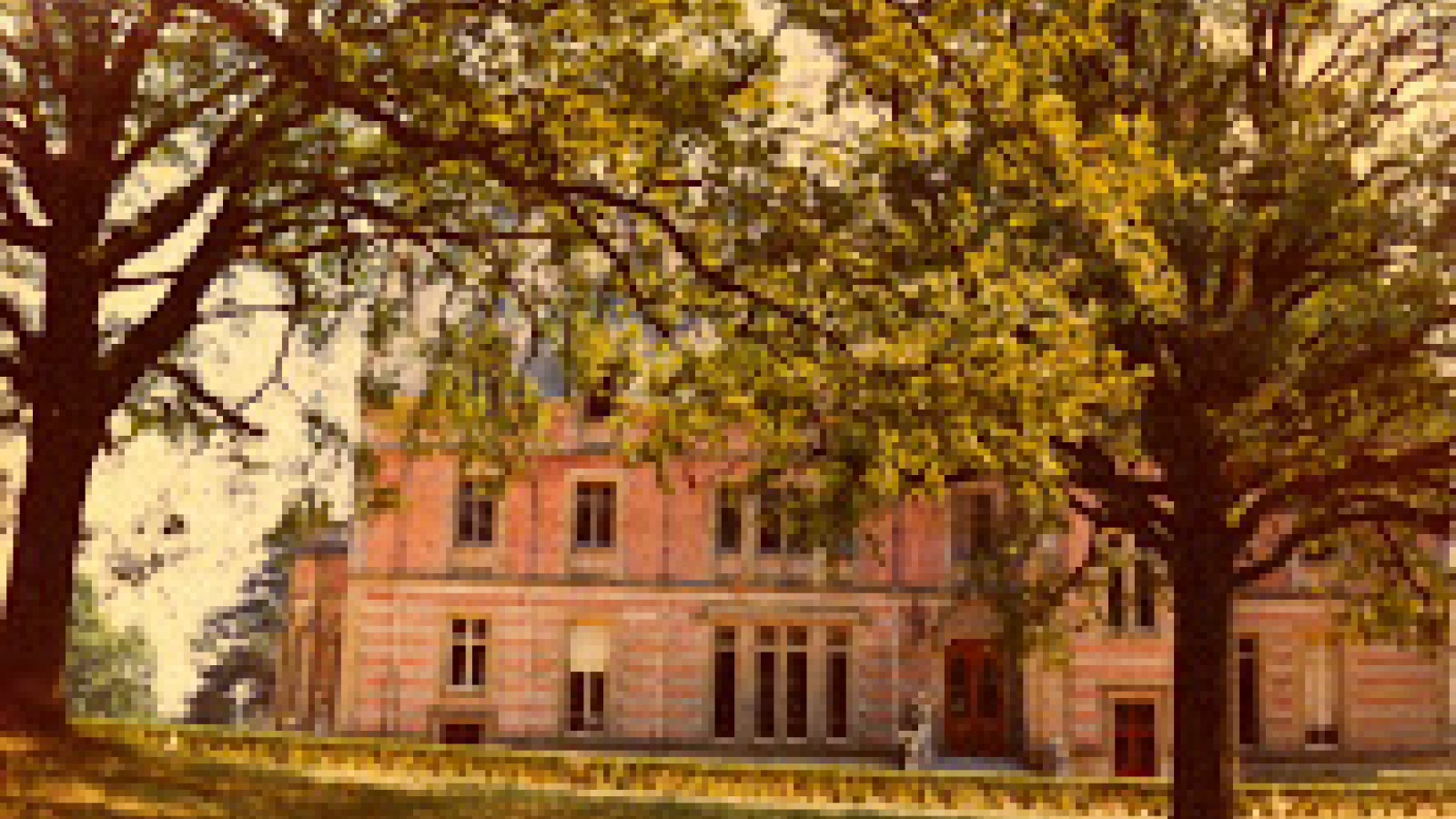 Chênes centenaires, château et parc de La Chaussière